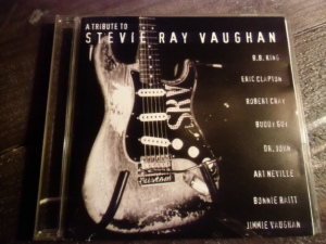 A Tribute To Stevie Ray Vaughan
